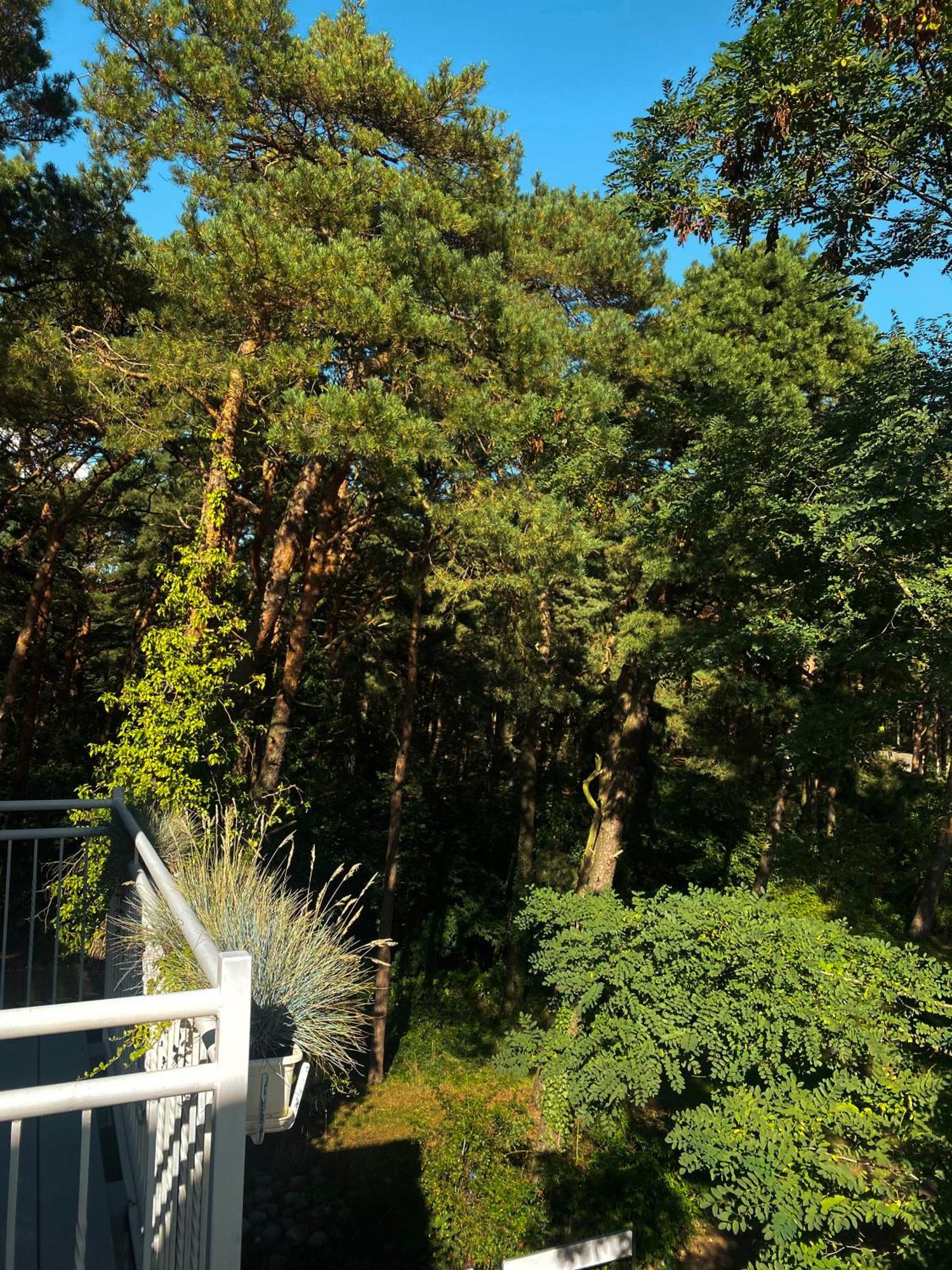 Orbisa Pokoje I Apartamenty Leba Luaran gambar
